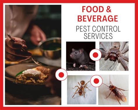 Pest Control for Commercial Establishments – TopBest Pest .